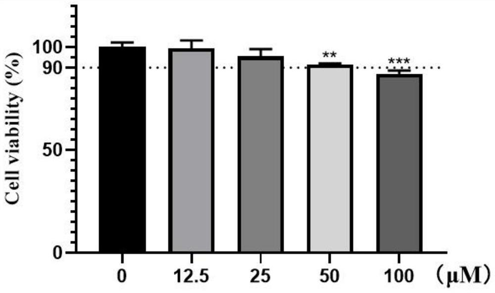 Application of eupatilin in preparation of product for resisting skin light injury