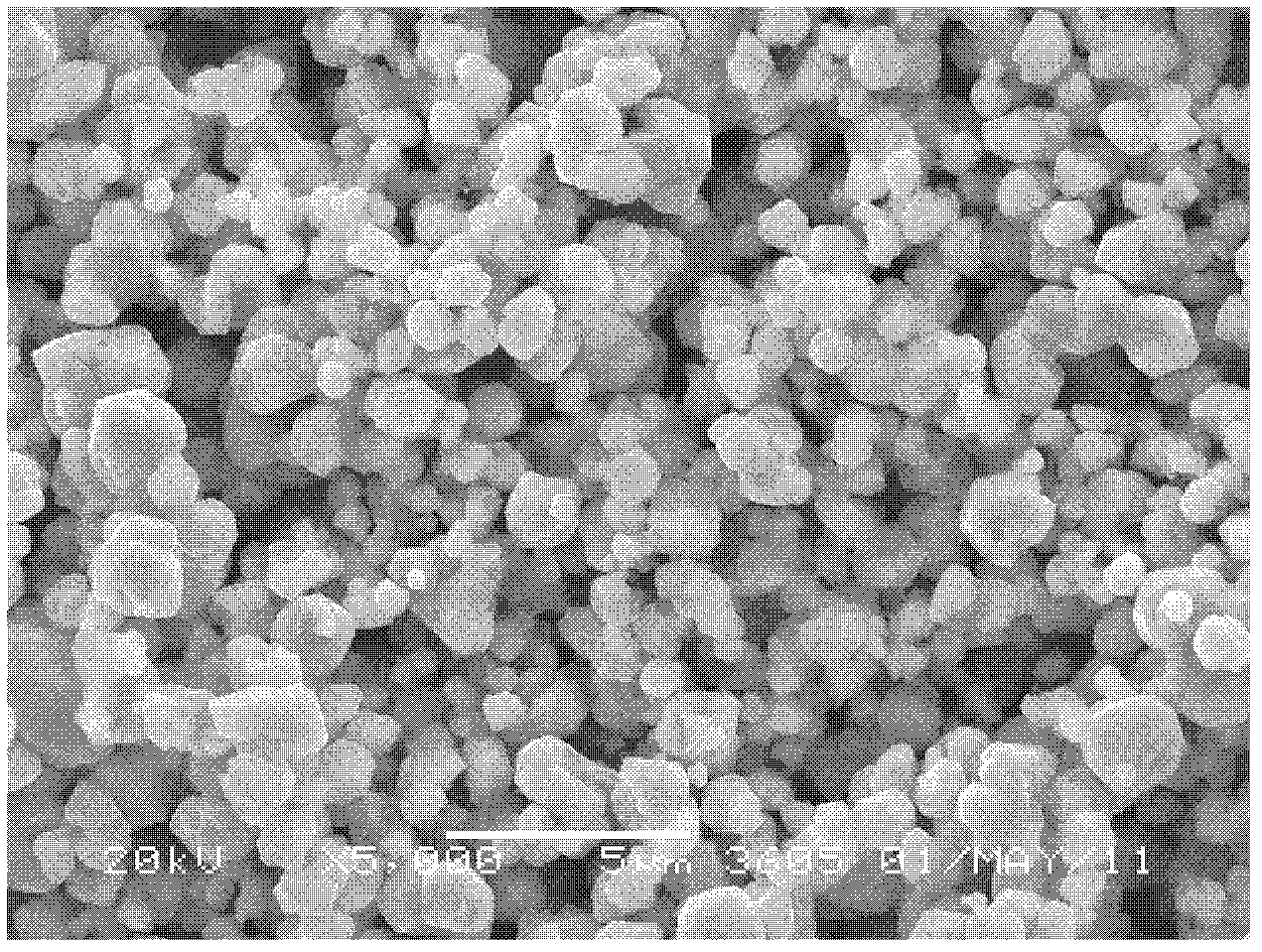 Method for preparing monodisperse high-crystallinity silver powder