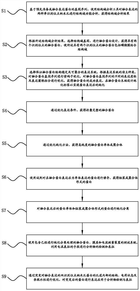 A method for constructing dual recognition site nanopores