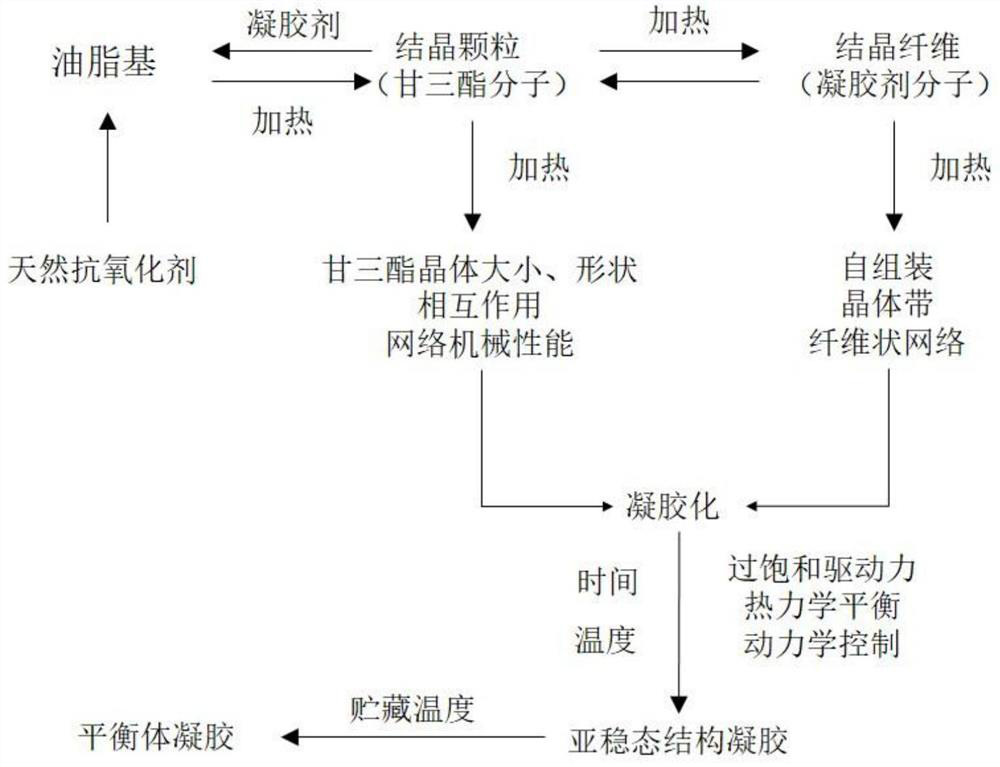 Silybum marianum grease gel and preparation method thereof