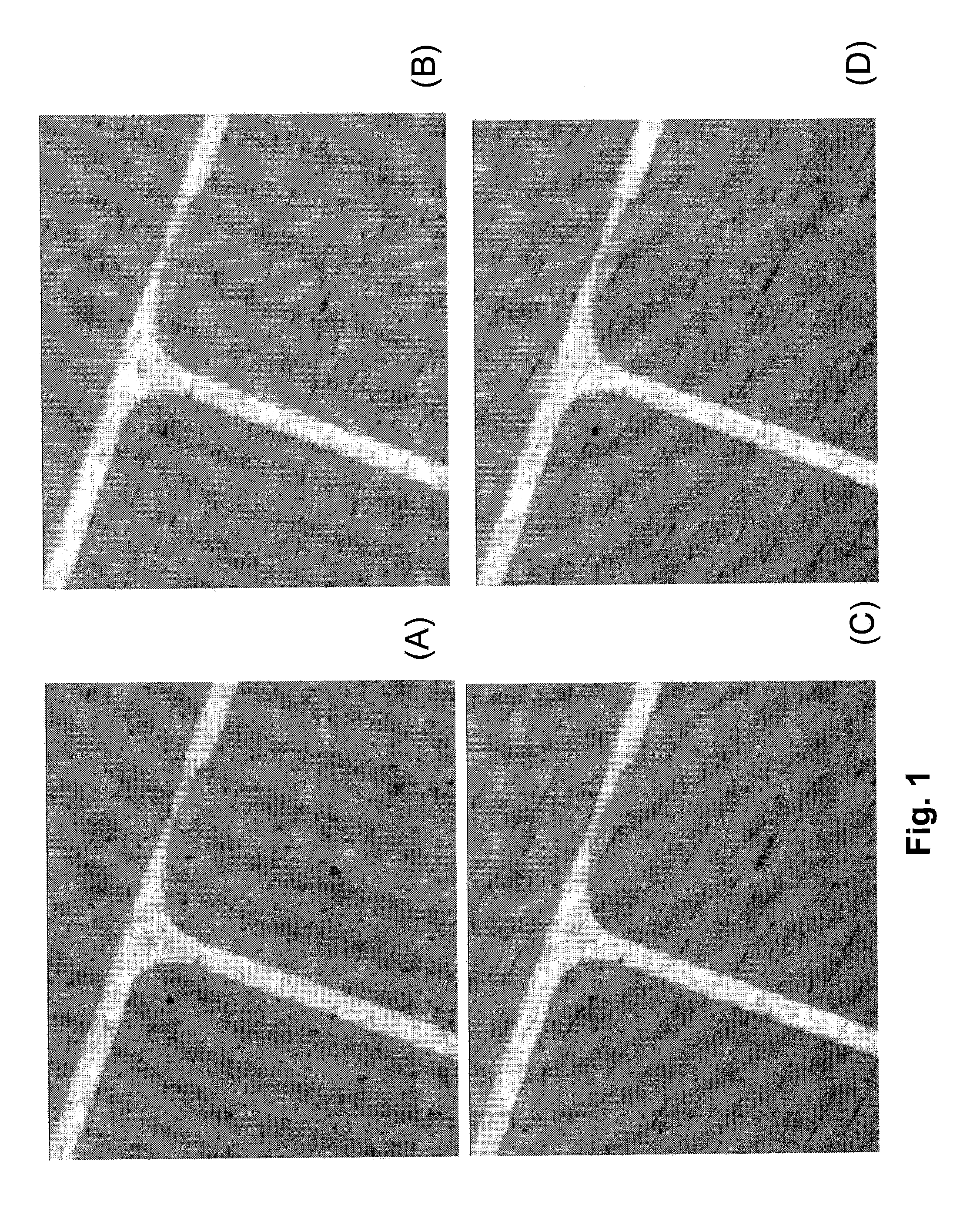 Alignment of Carbon Nanotubes Comprising Magnetically Sensitive Metal Oxides in Nanofluids