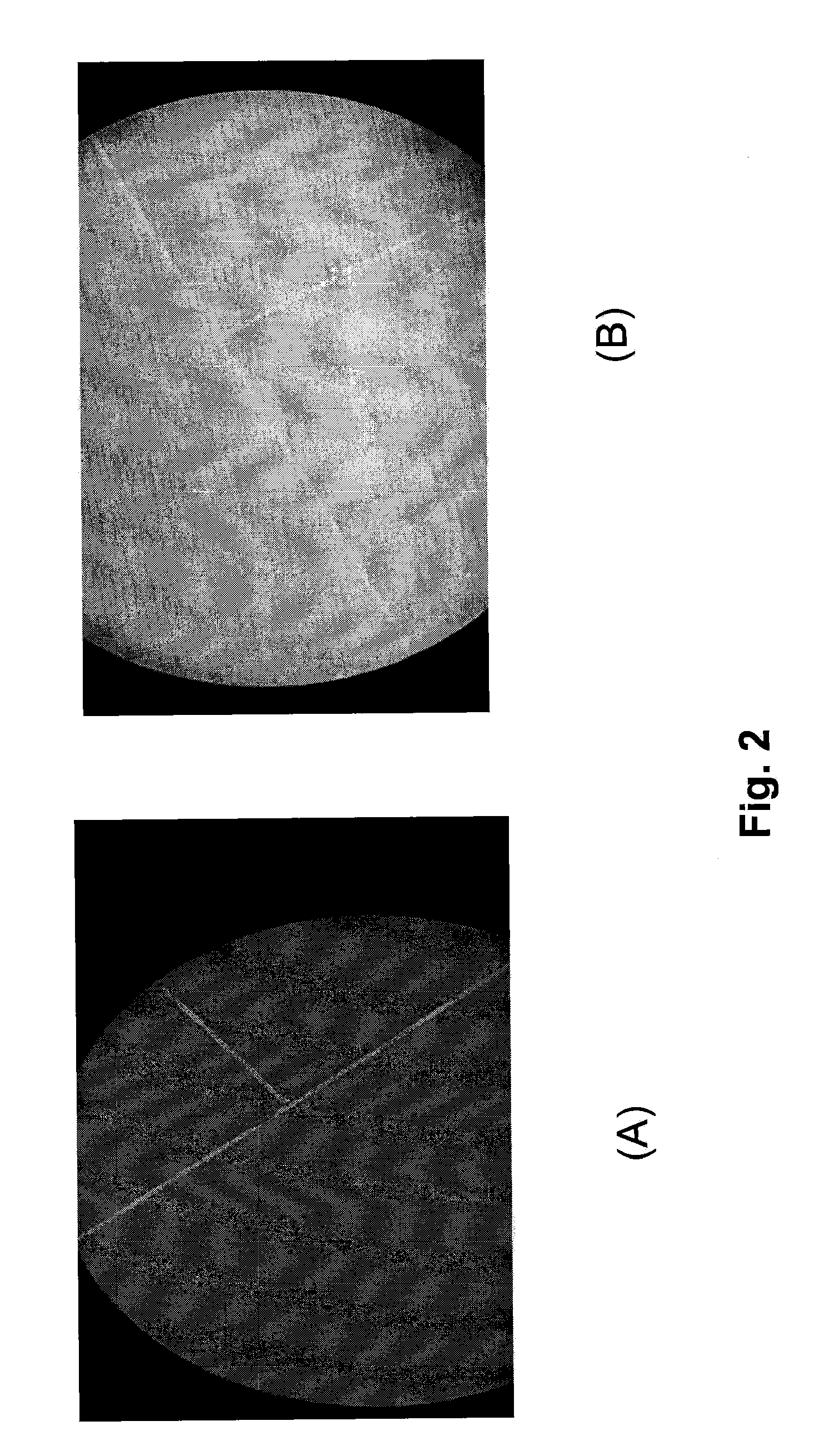 Alignment of Carbon Nanotubes Comprising Magnetically Sensitive Metal Oxides in Nanofluids