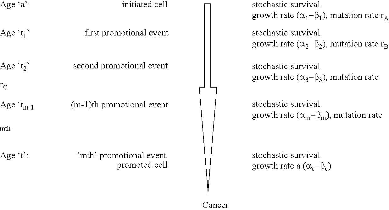 Methods of identifying point mutations in a genome