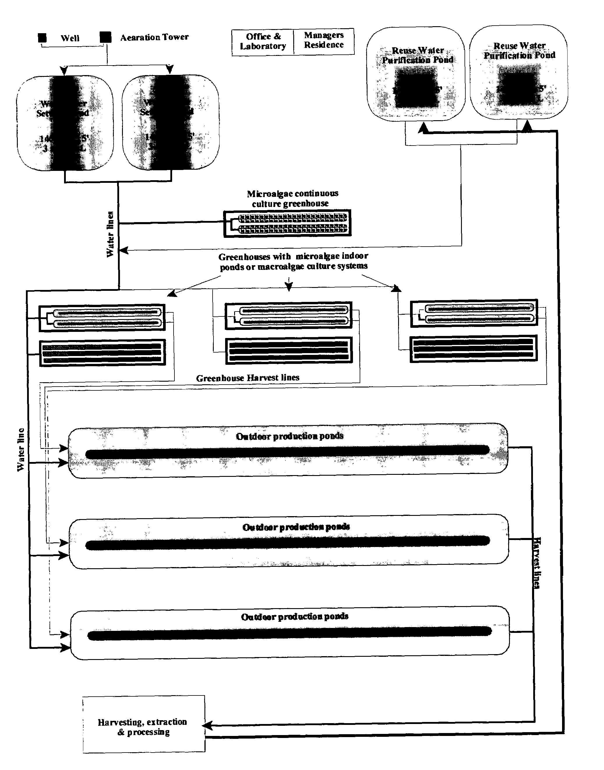 Inland aquaculture of marine life using water from a saline aquifer