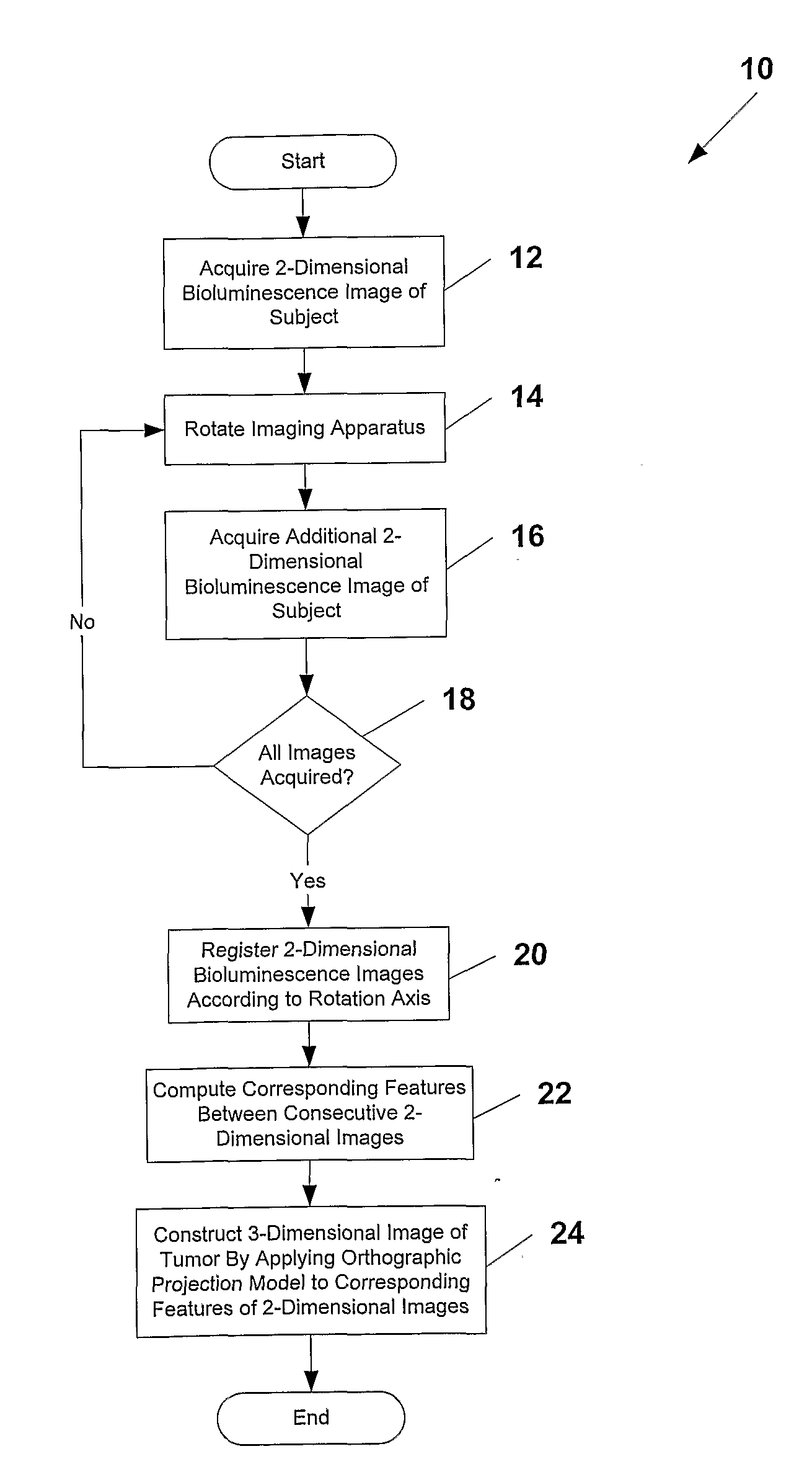 System and Methods for Generating Three-Dimensional Images From Two-Dimensional Bioluminescence Images and Visualizing Tumor Shapes and Locations