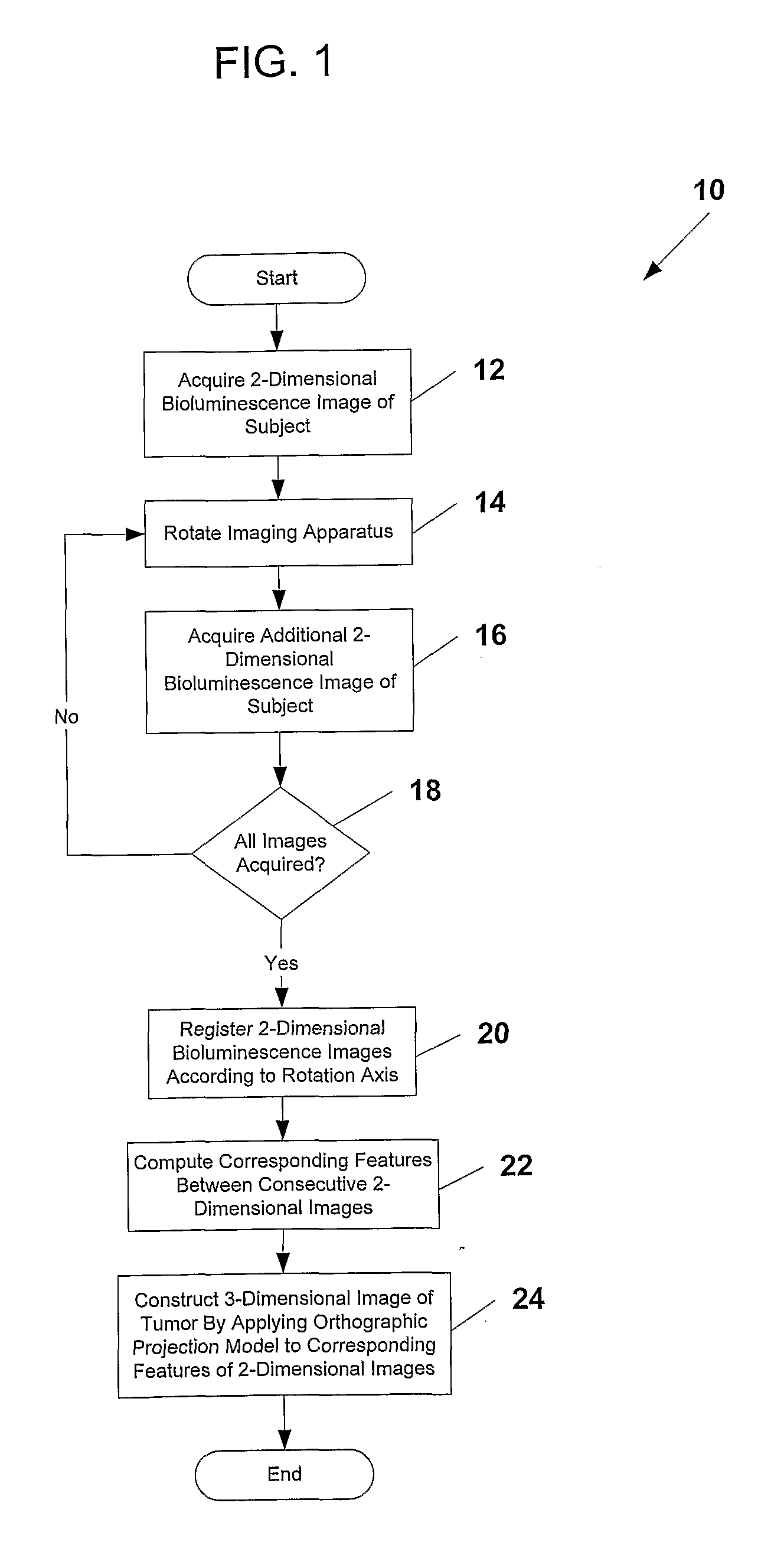 System and Methods for Generating Three-Dimensional Images From Two-Dimensional Bioluminescence Images and Visualizing Tumor Shapes and Locations