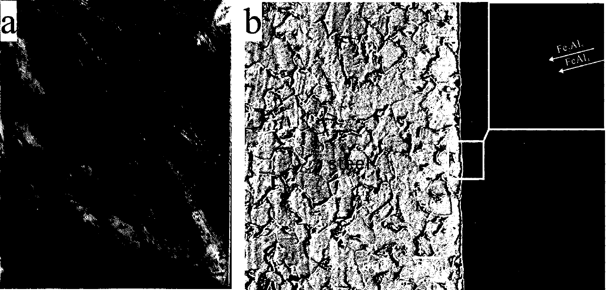 Multi-purpose ammonium-free fluxing agent for hot dip coating and application method thereof