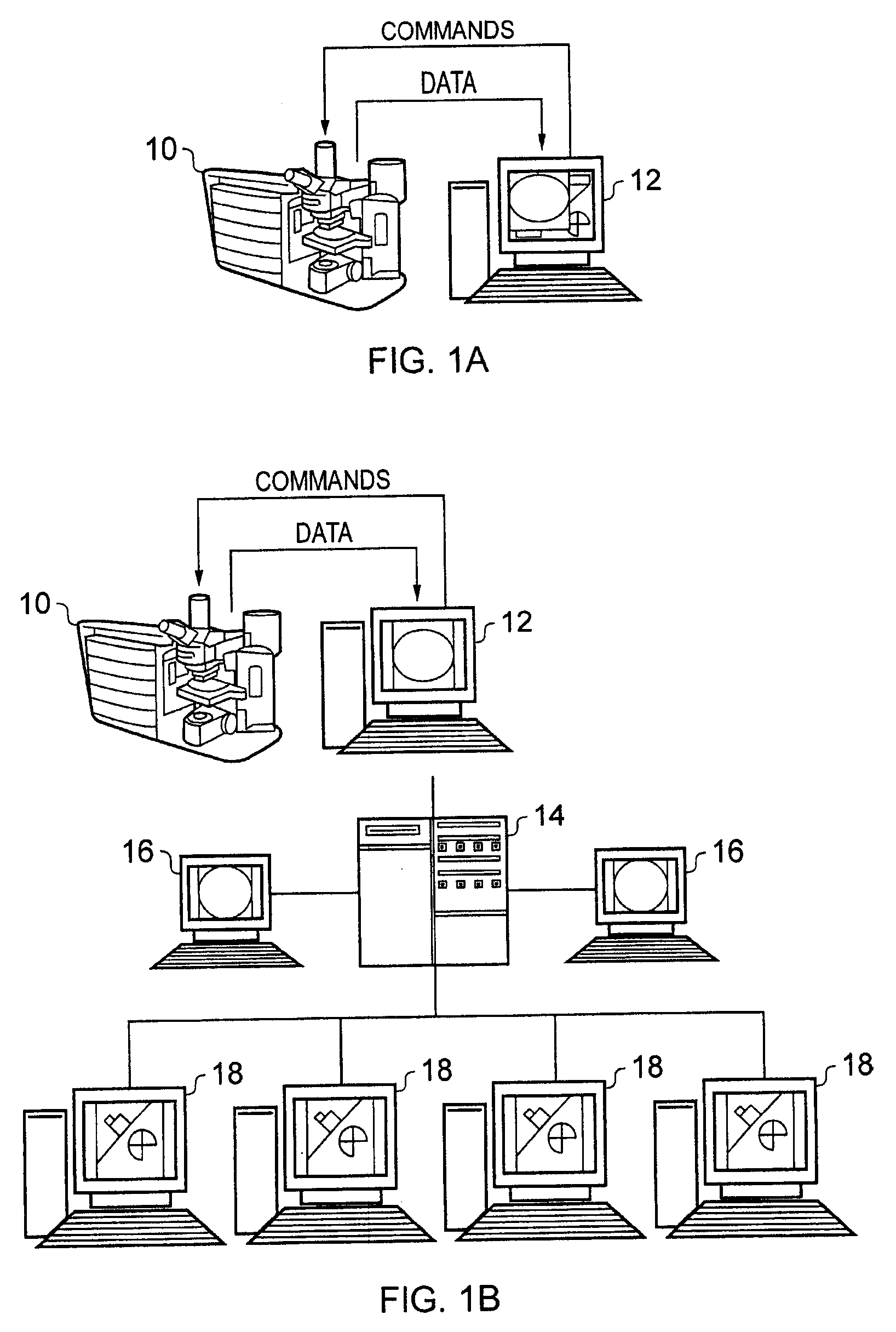 Automated Detection of Cell Colonies and Coverslip Detection Using Hough Transforms