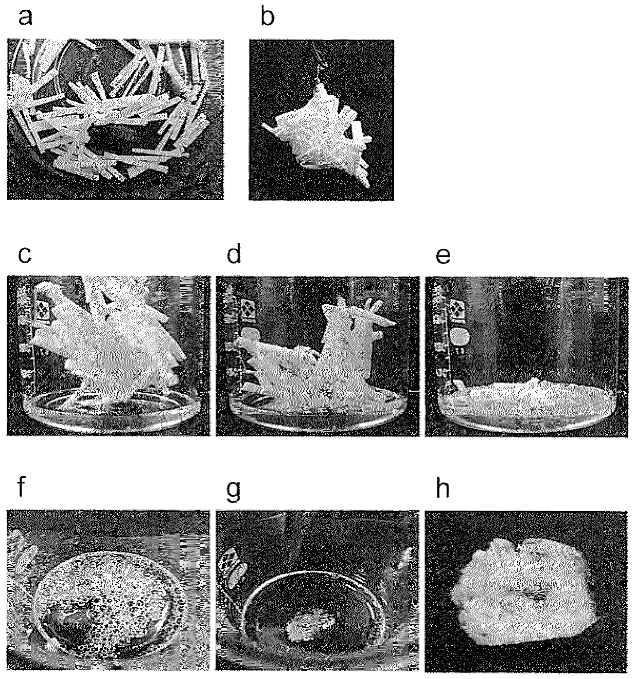 Bagworm silk thread collecting method