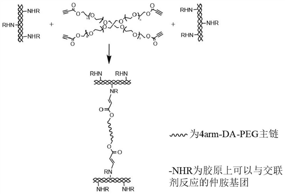 Modified collagen membrane and preparation method thereof, and activated multi-alkynyl cross-linking agent for modifying collagen