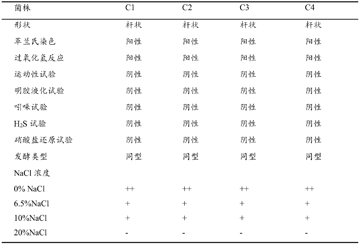 Salt-tolerant lactobacillus plantarum C4 and application thereof