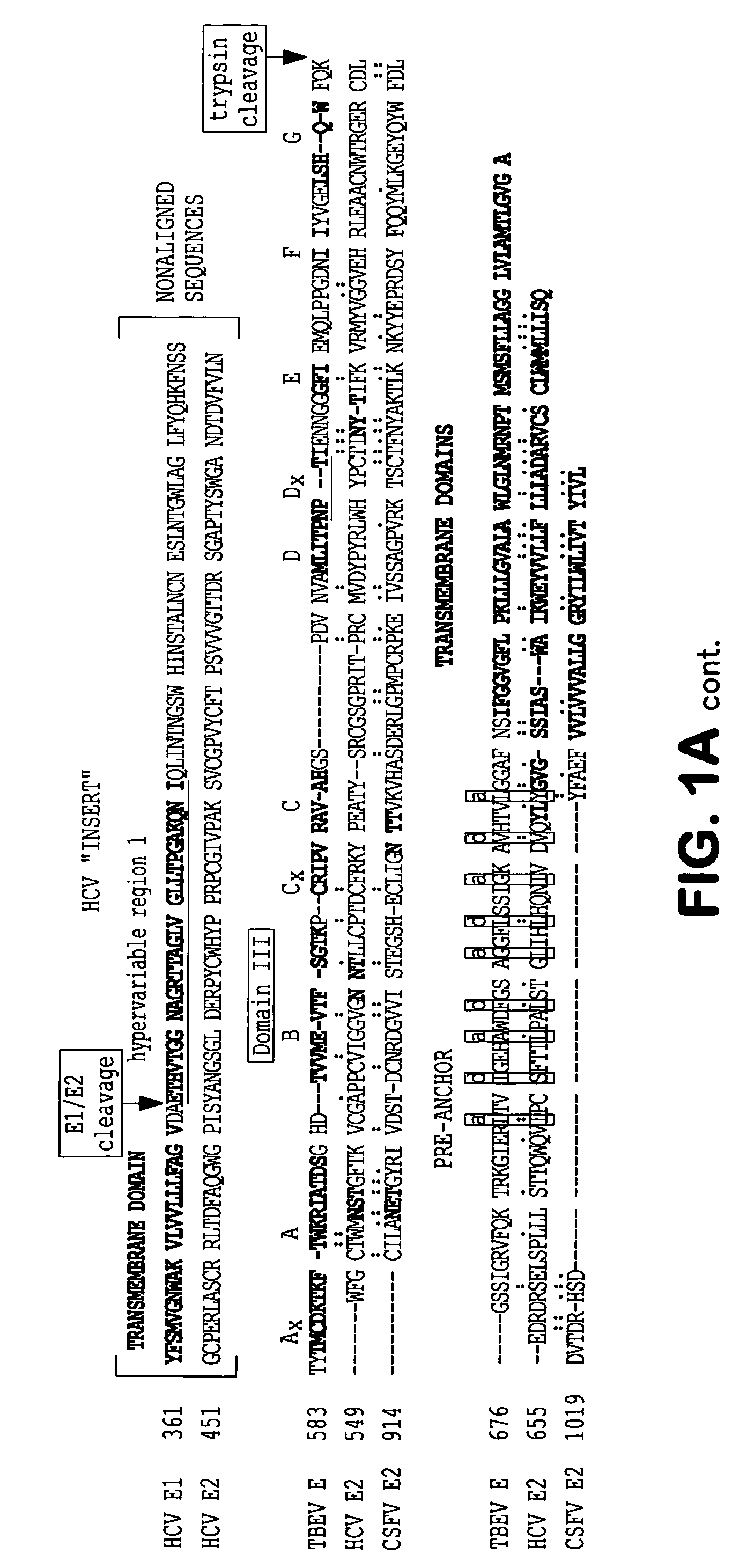 Flavivirus fusion inhibitors