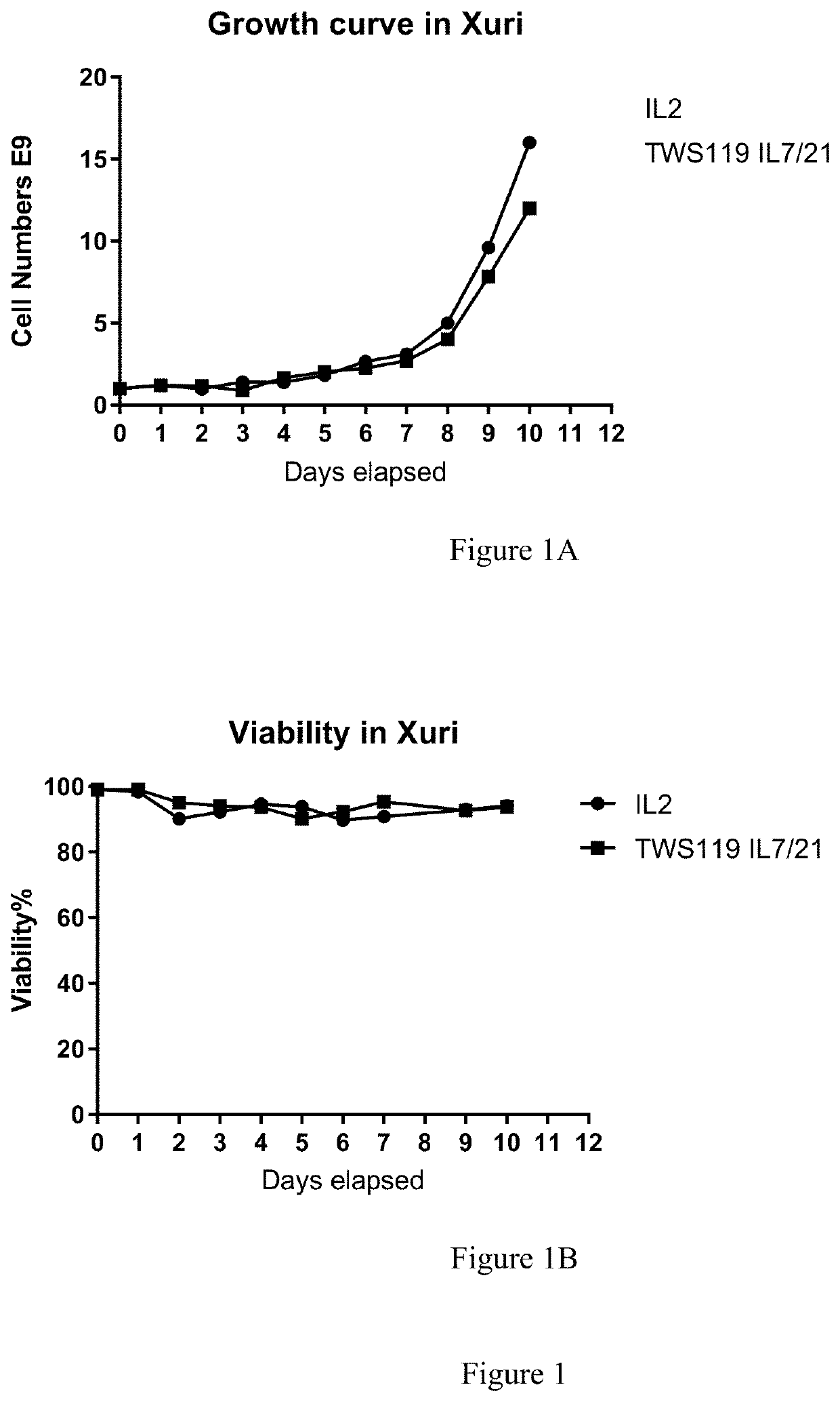 Process for generating genetically engineered autologous t cells