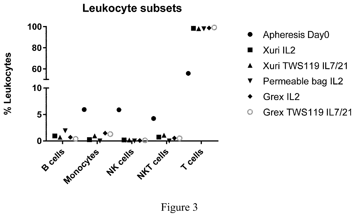 Process for generating genetically engineered autologous t cells