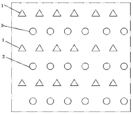 Disease-resistant interplanting method for lacquer trees and tung trees