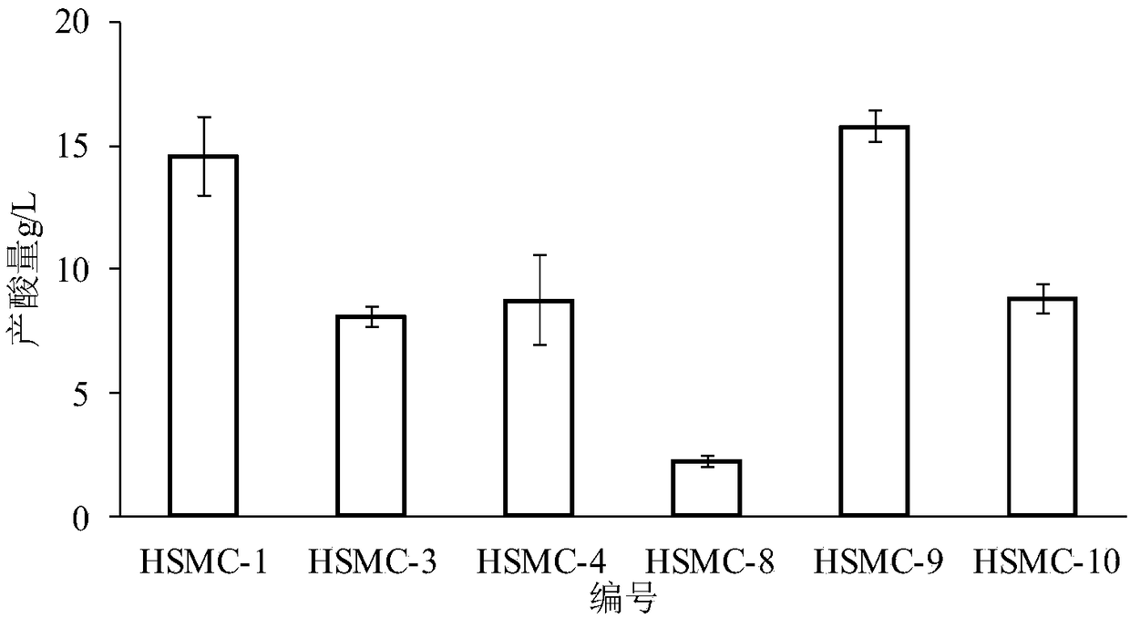 Acetic bacterium for highly yielding acid and application of acetic bacterium to brewing of high-acidity vinegar