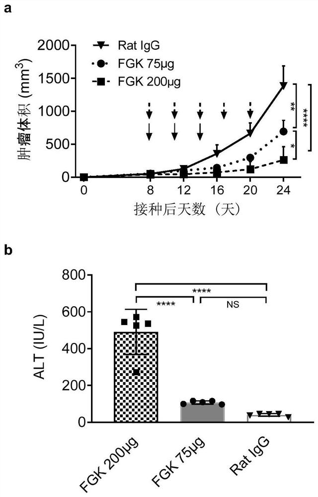 Application of PPAR delta inhibitor combined immunotherapy drug in preparation of antitumor drugs