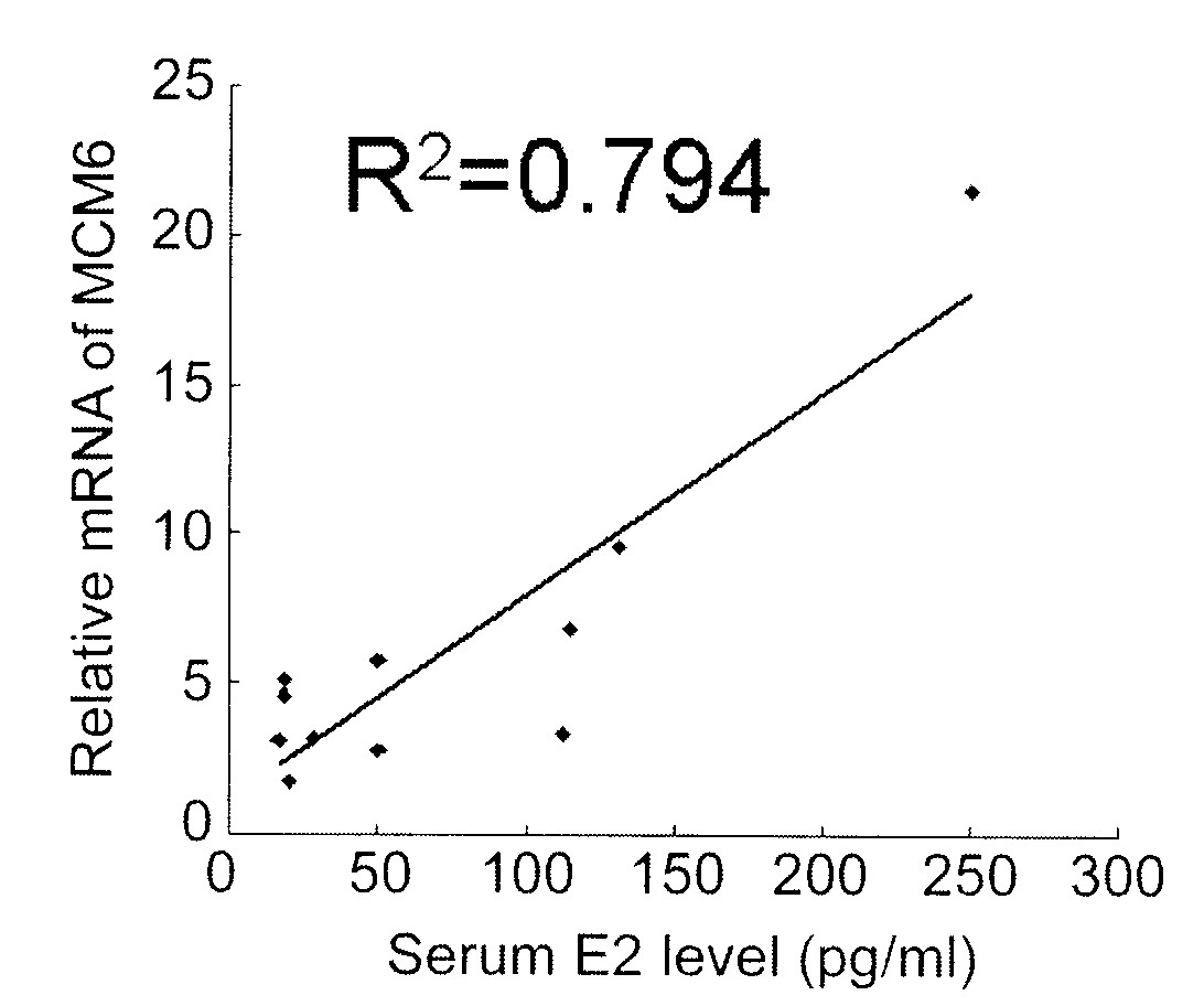 Function of mini-chromosome maintenance complex component in disease diagnosis and prevention of systemic lupus erythematosus