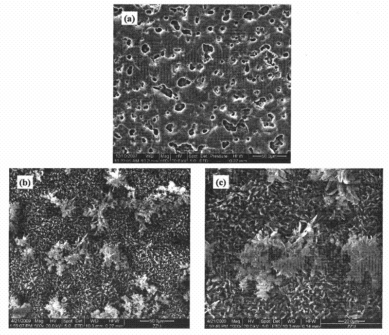 Micro-arc oxidation-electrodeposition preparation method of magnesium-based bioactive coating