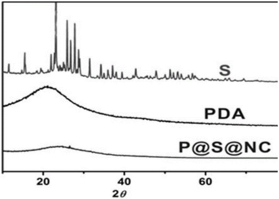 Anode material for lithium sulfur batteries and method for preparing anode material