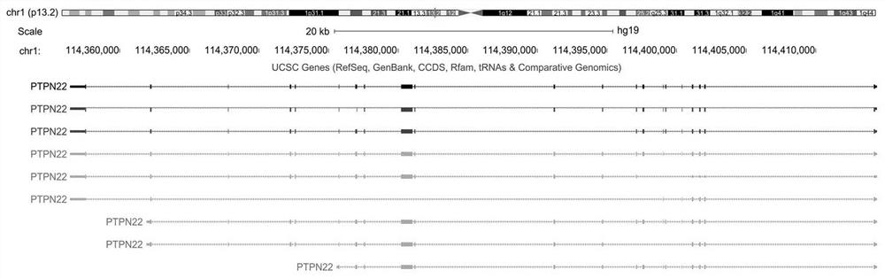 DNA probe pool for detecting genes and SNP sites related to Kawasaki disease, its preparation method and use