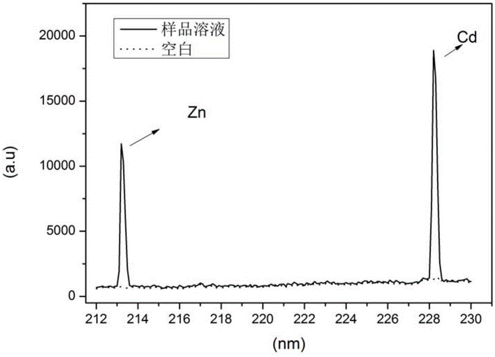 Liquid discharge micro-plasma excitation source apparatus and plasma excitation method