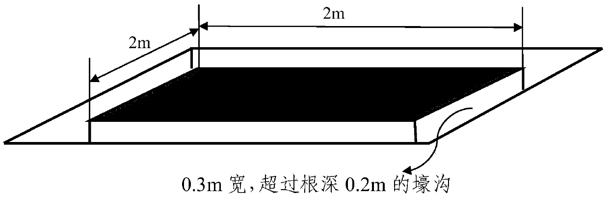 Method for measuring contribution rate of plant root system to nitrification and denitrification of soil