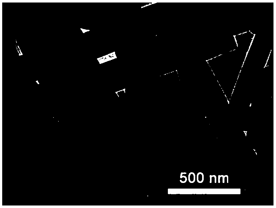 Phosphorus-nickel-palladium co-doped carbon-based composite catalyst and preparation method and application thereof