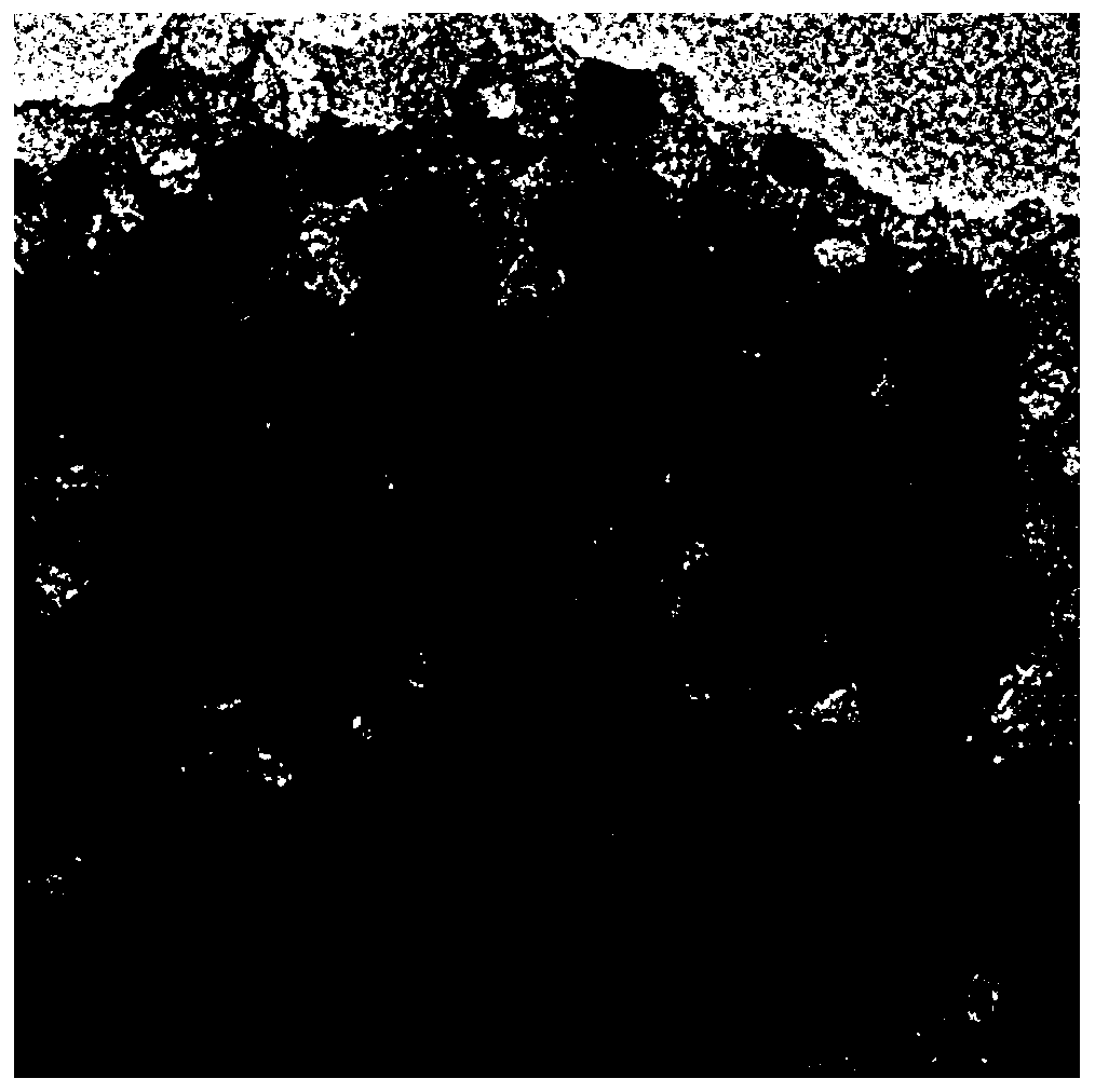 Antimony trisulfide nanodot/sulfur-doped carbon composite material, preparation method thereof and application of antimony trisulfide nanodot/sulfur-doped carbon composite material to sodium/potassium ion battery