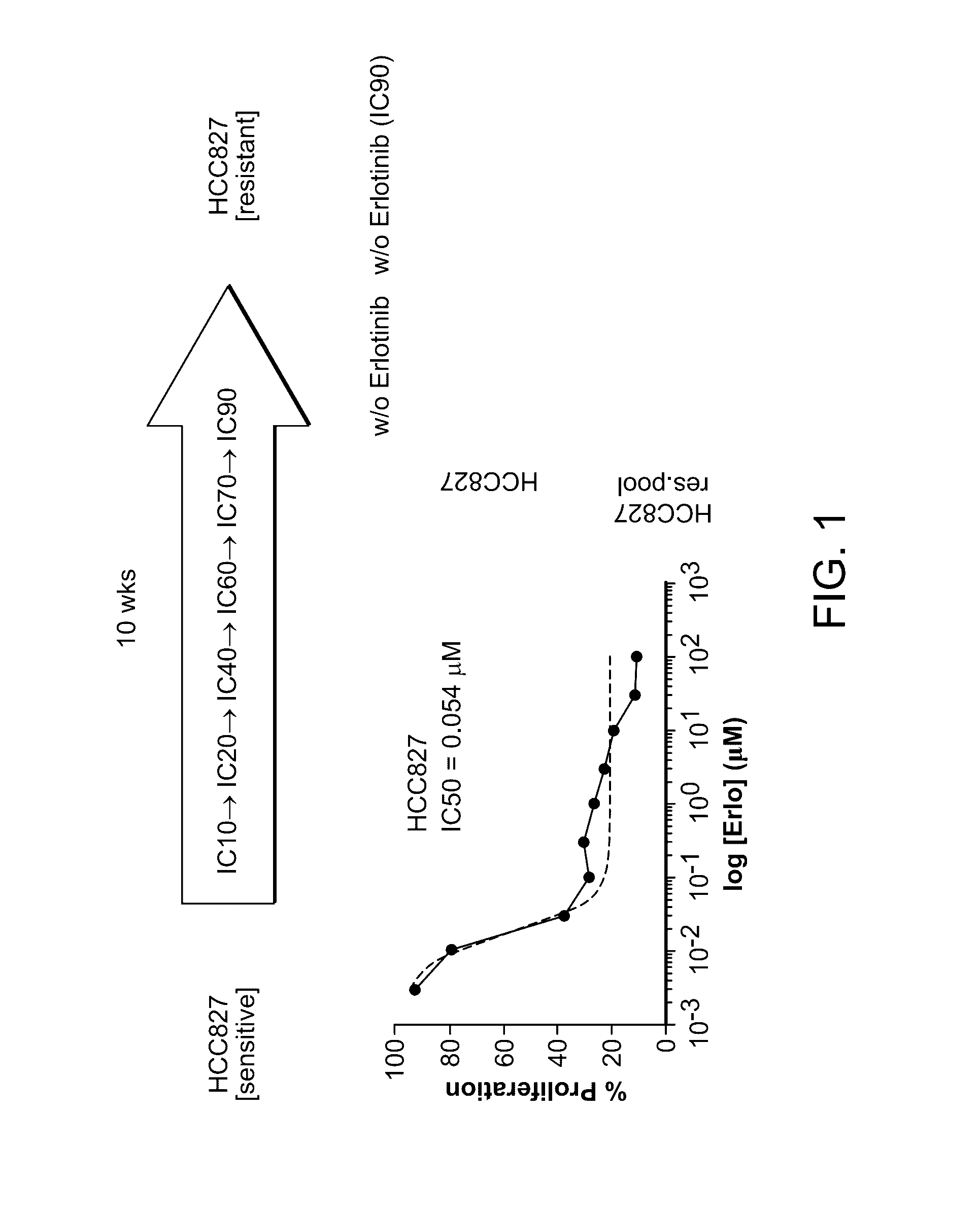 Combination cancer treatments utilizing synthetic oligonucleotides and egfr-tki inhibitors