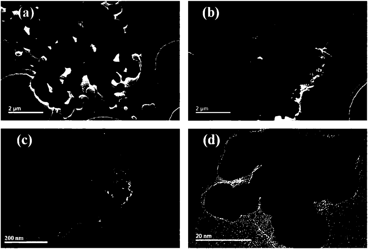 Preparation method of nickel nitride graphene composite material-loaded previous metal nanoparticle