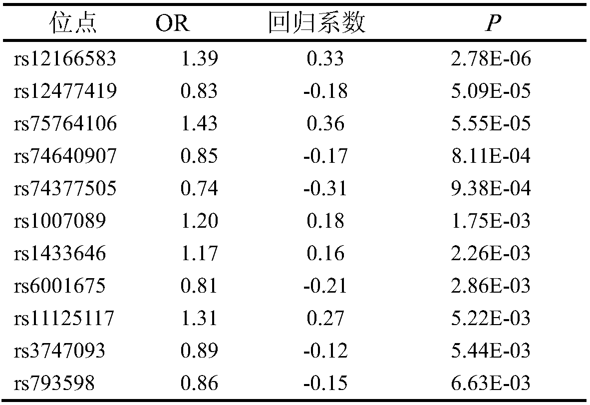 Cancer-testis genetic marker related to primary lung cancer auxiliary diagnosis and application thereof