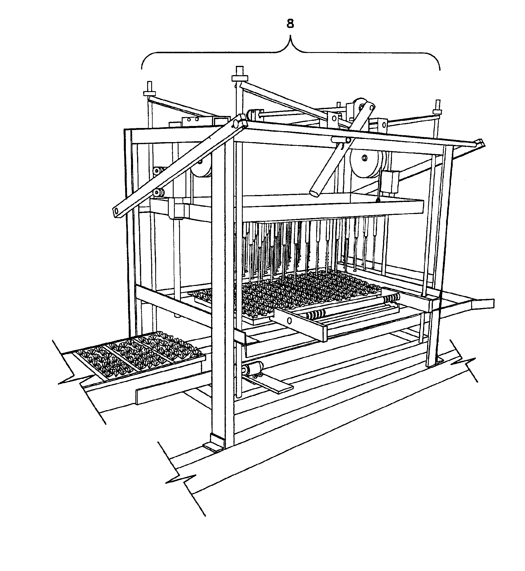 Operational system for transplanting growing plants