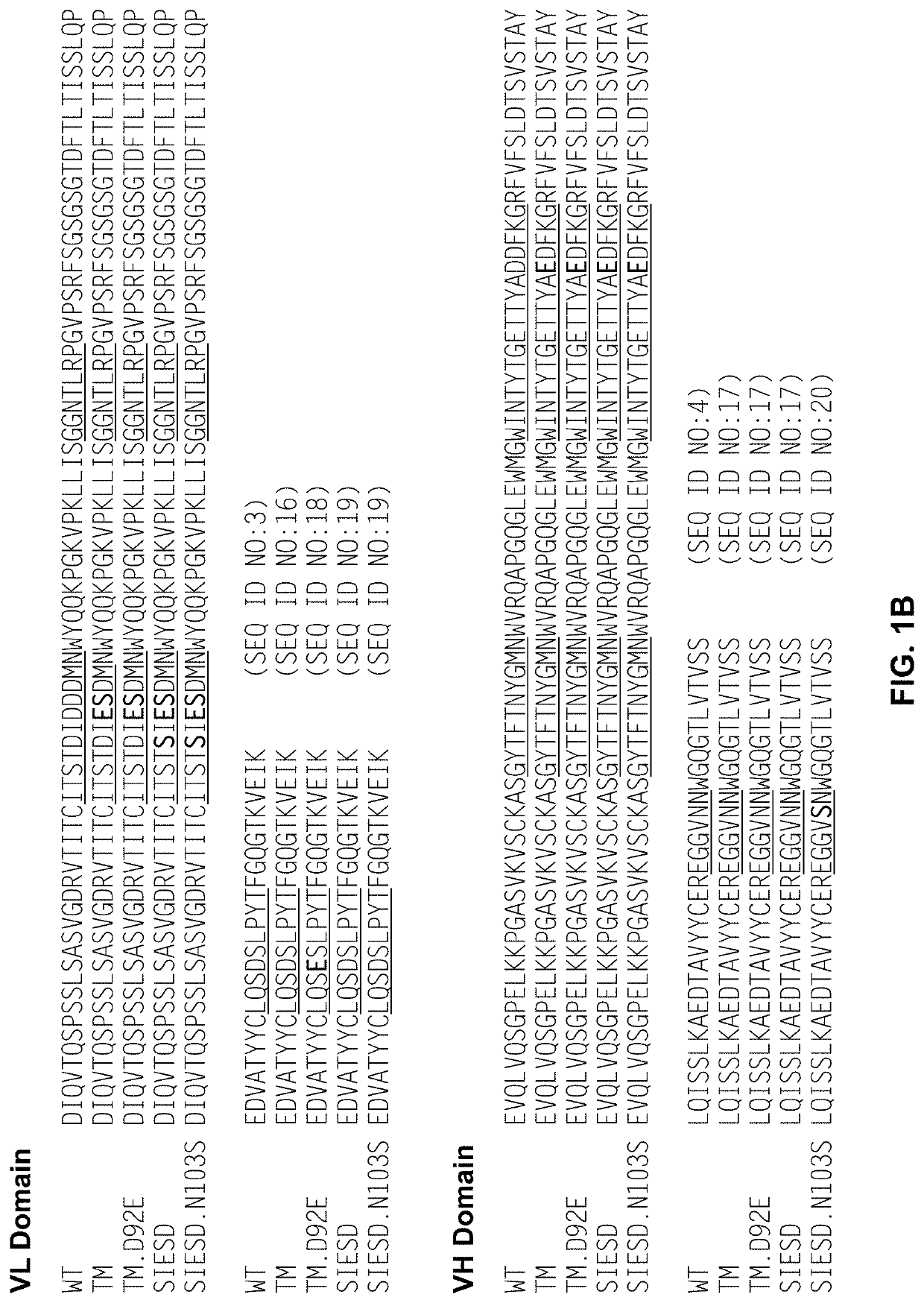 Anti-factor d antibody variant conjugates and uses thereof