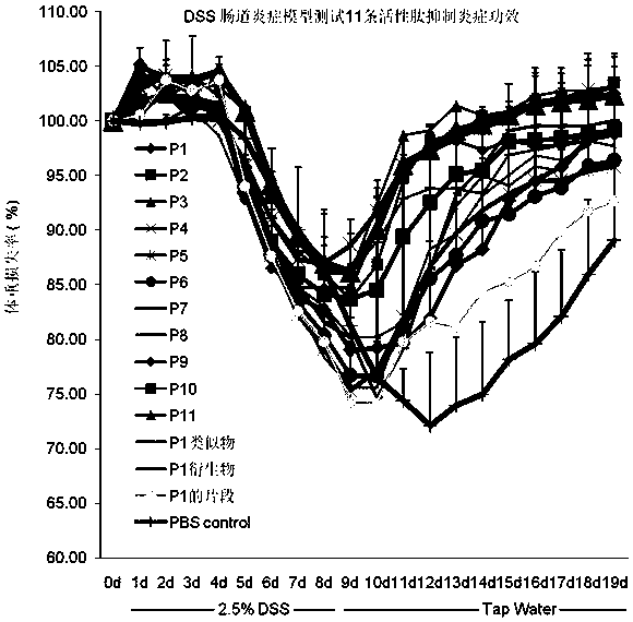 Seaweed-derived short peptide capable of inhibiting inflammations of digestive tract and application thereof