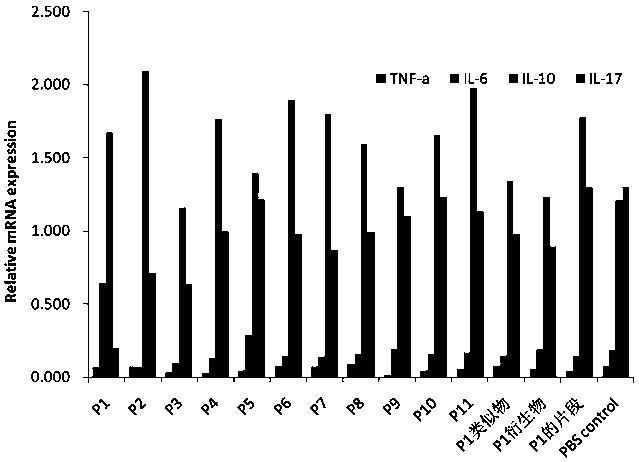 Seaweed-derived short peptide capable of inhibiting inflammations of digestive tract and application thereof