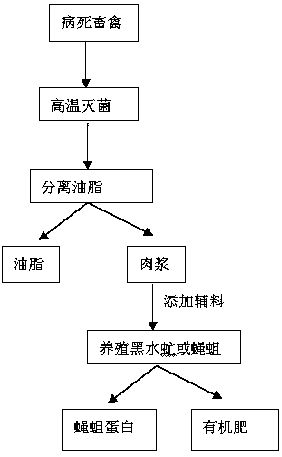 A treatment method for sick and dead livestock and poultry