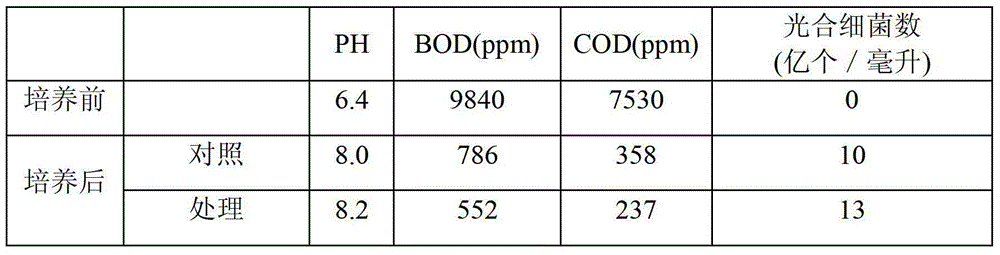 A kind of growth promoting agent that promotes the rapid reproduction of photosynthetic bacteria strains and its application method