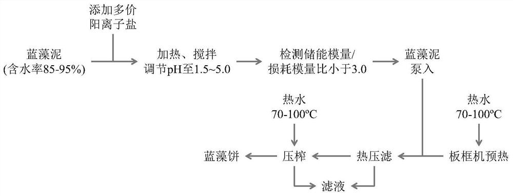 A deep dehydration method of cyanobacteria mud based on thermal rearrangement of capsular polysaccharide soft lattice