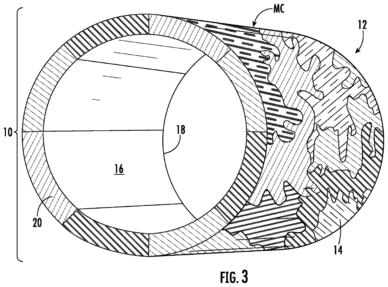 Biometric Mood Sensing Apparatus and Method of Use