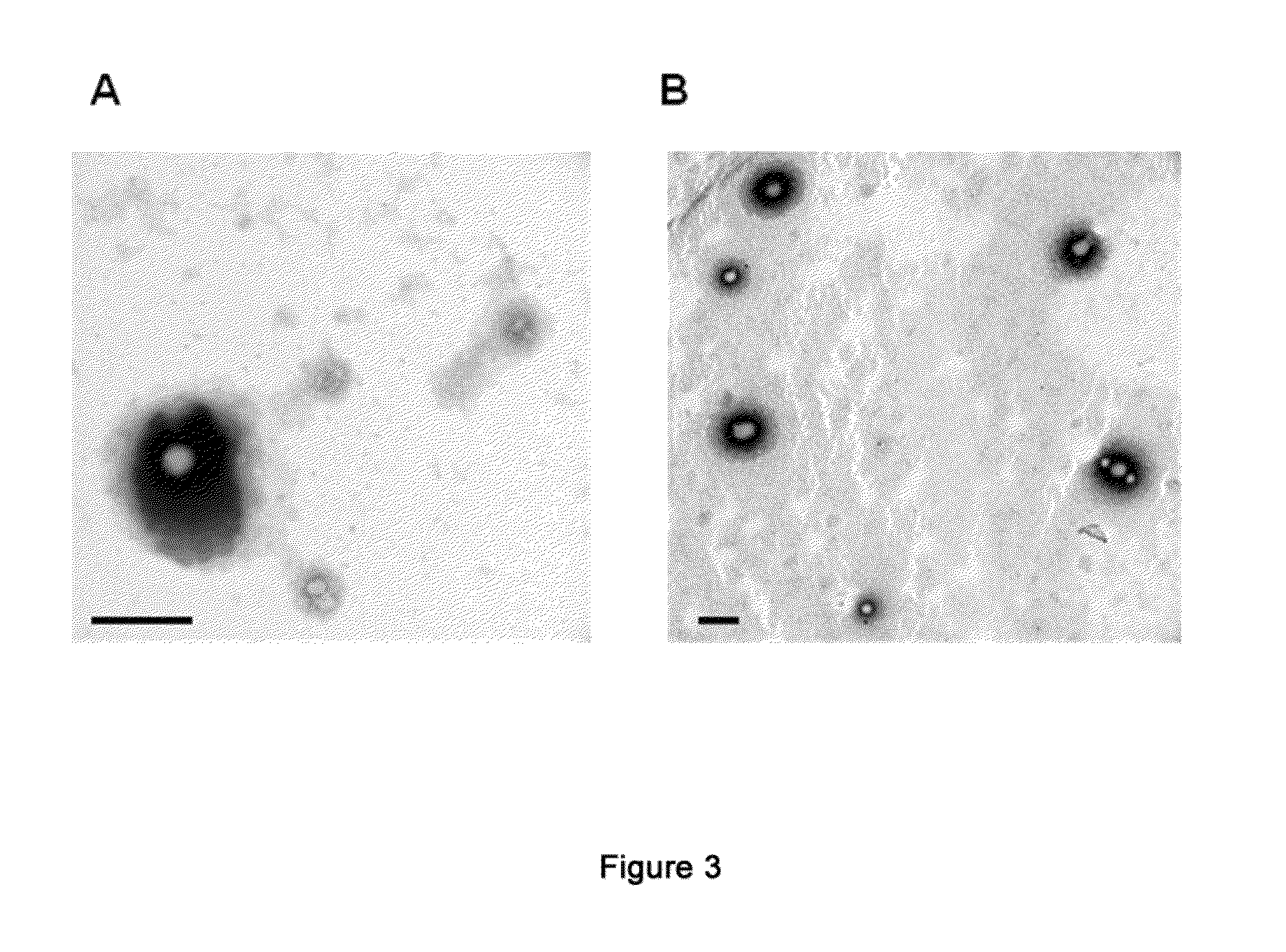 Nanoparticles for encapsulation of compounds, the production and uses thereof