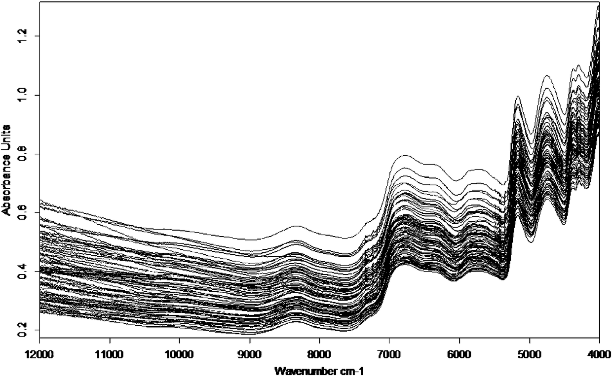 Near infrared quantitative analysis model for radix glycyrrhizae medicinal material and detection method and standard