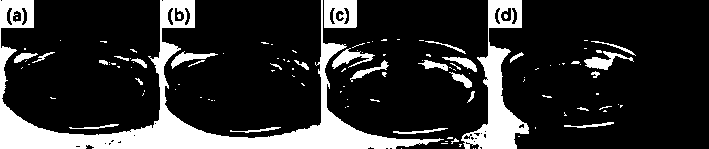 Method for preparing magnetic super-hydrophobic sponge materials