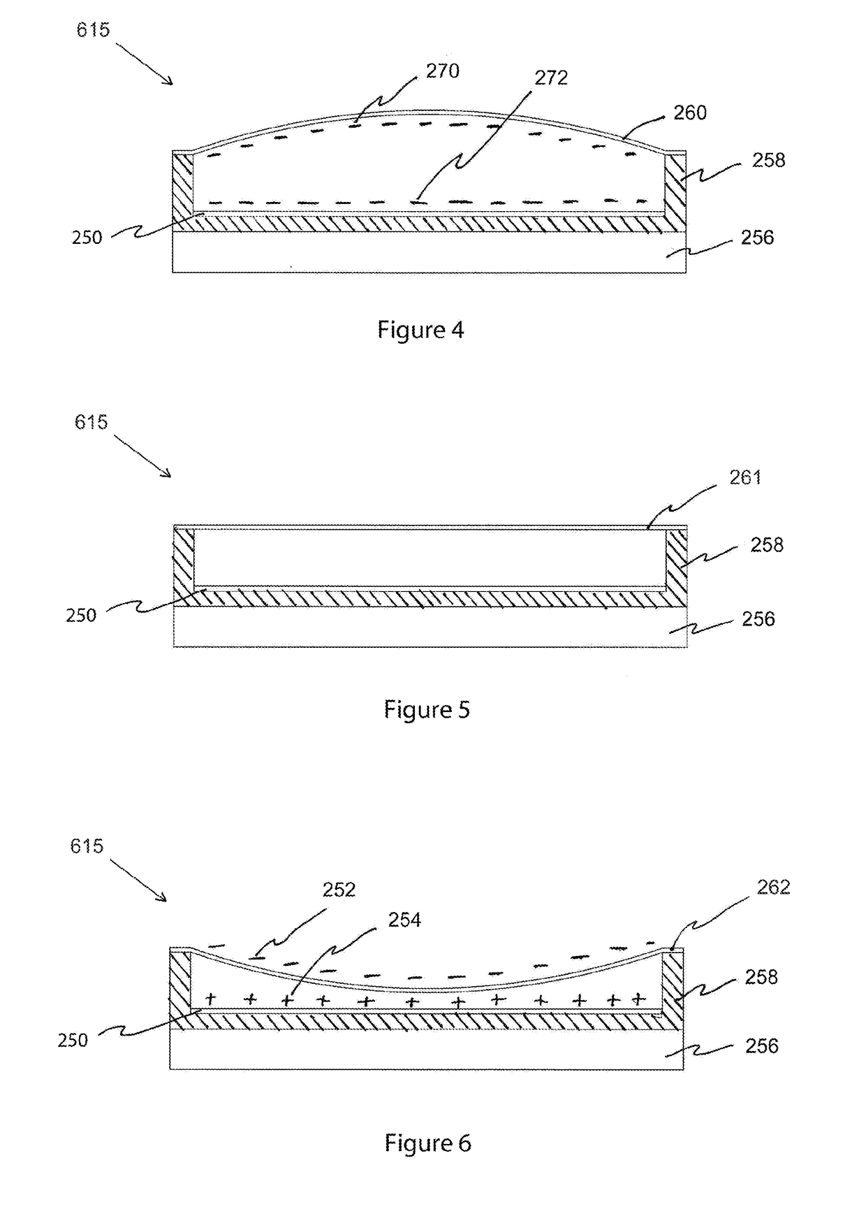 Immersive Optical Projection System