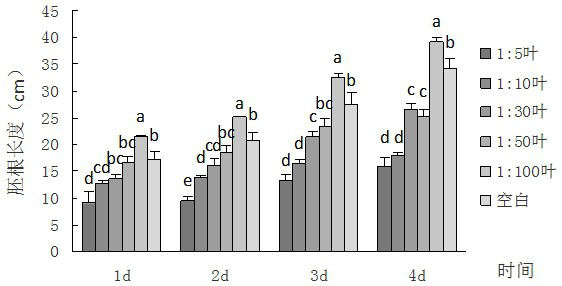 An inhibitor of the growth of Chinese fir based on the extract of Castanopsis grisina litter