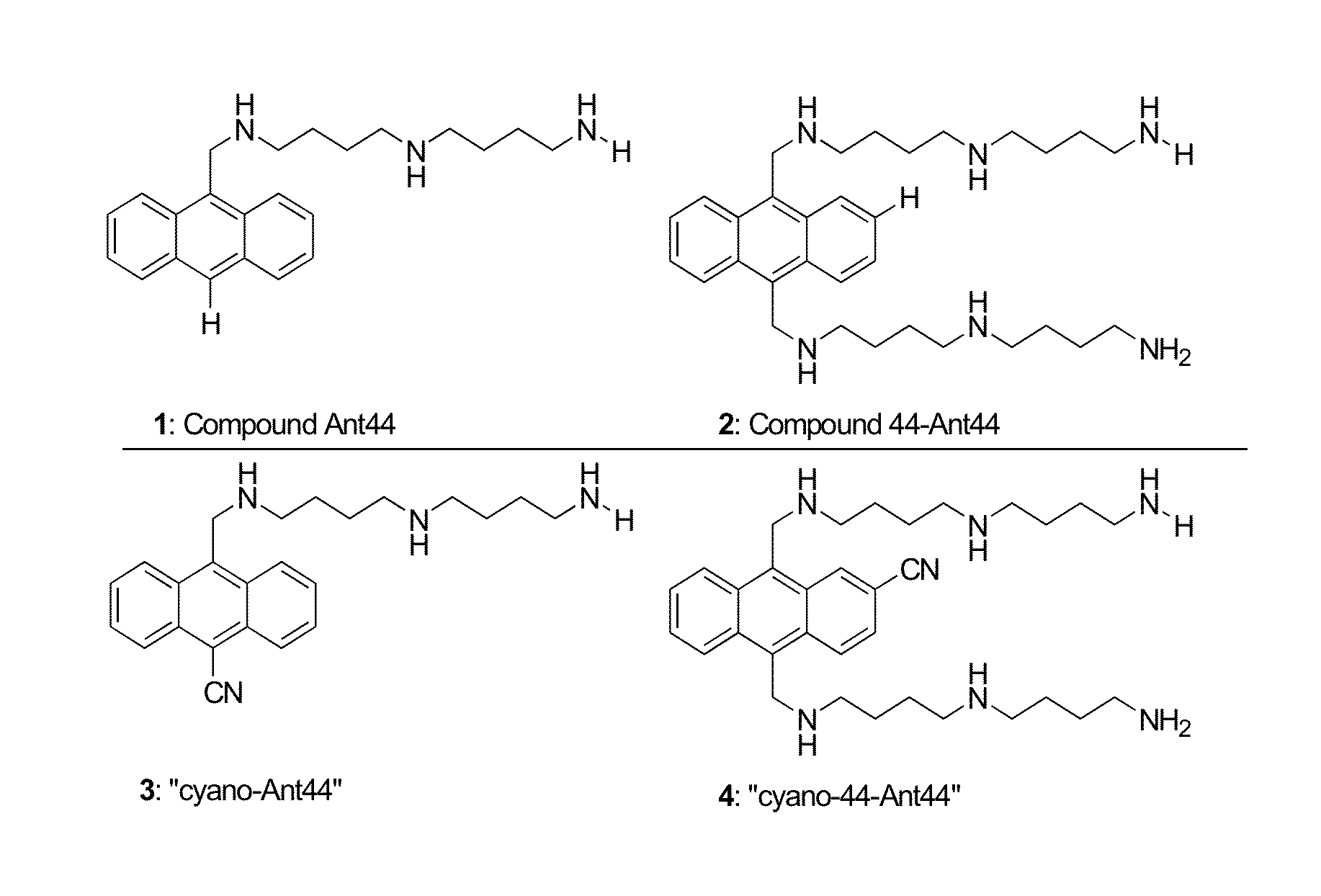 Fluorescent cytotoxic compounds specific for the cellular polyamine transport system