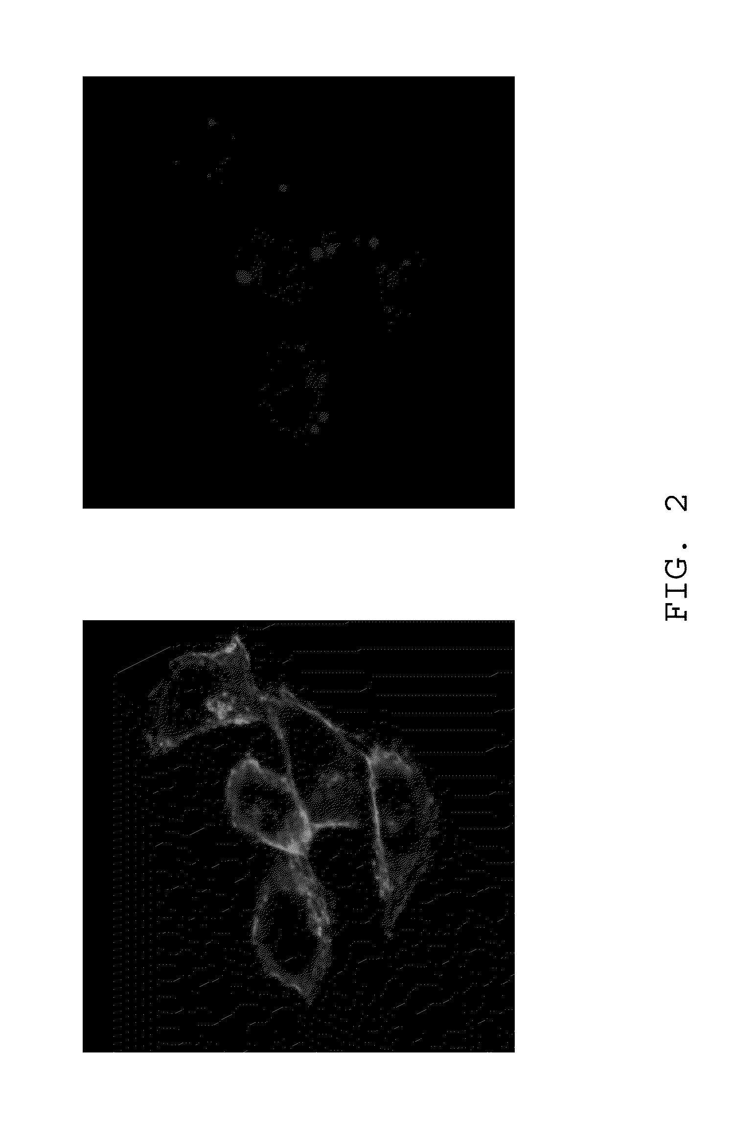 Fluorescent cytotoxic compounds specific for the cellular polyamine transport system