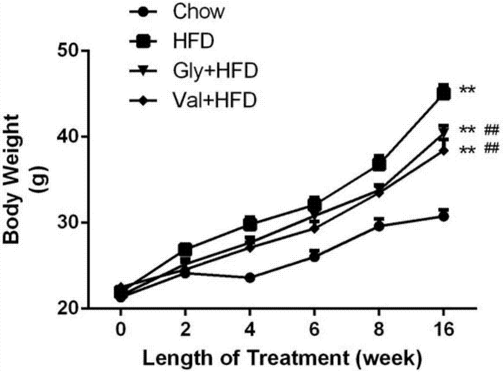 Composition for treating type 2 diabetes