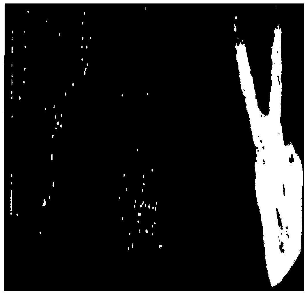 Static gesture recognition method based on bounding box model