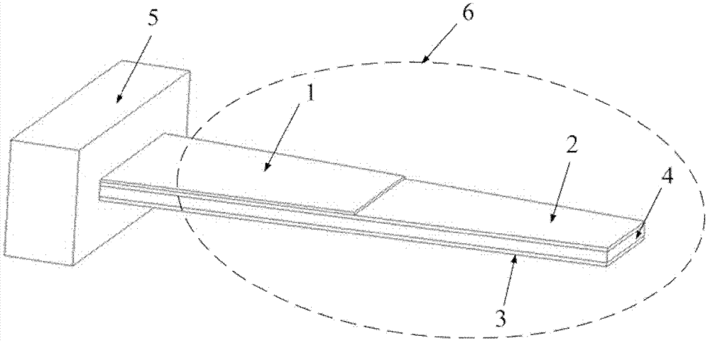 Electrostatic absorption type micro-quality sensor